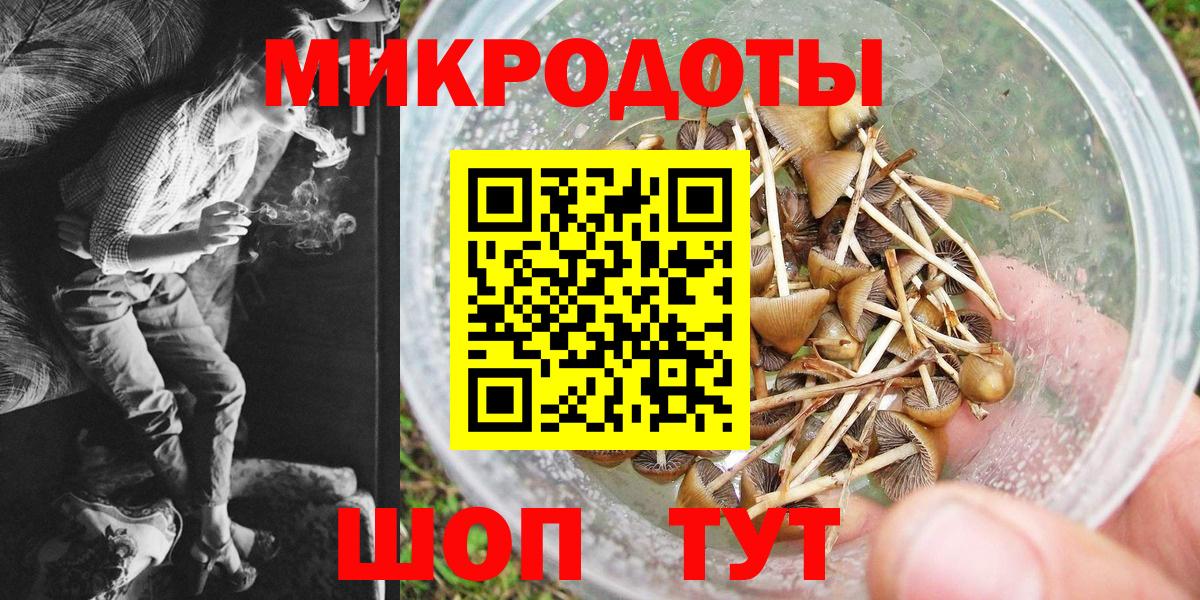 Галлюциногенные грибы прущие грибы Вятские Поляны