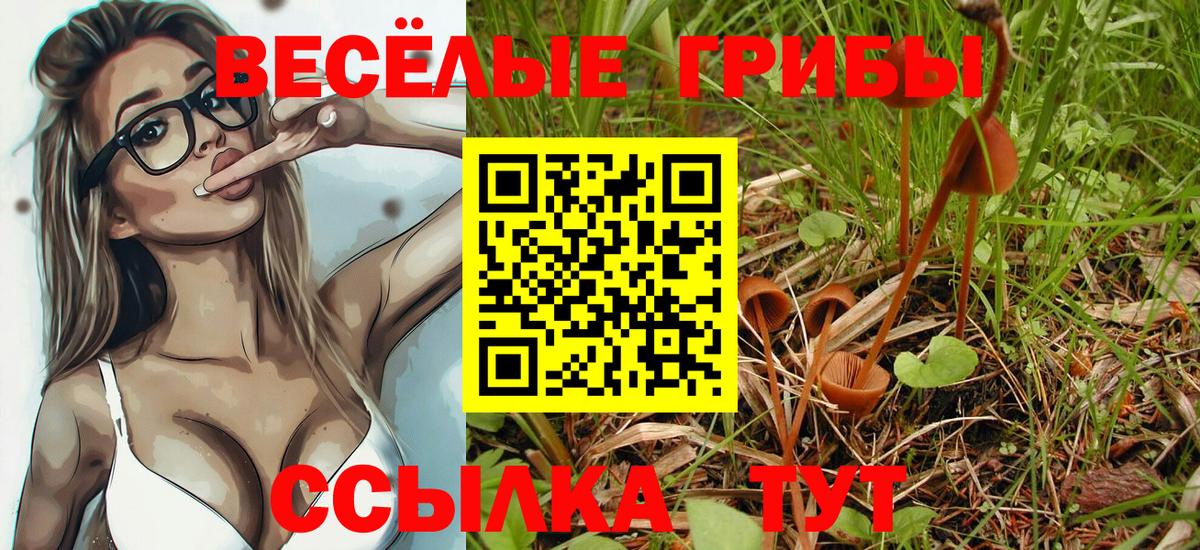 Галлюциногенные грибы Psilocybine cubensis  Псилоцибиновые грибы прущие грибы  Вход с VPN  закладка  Вятские Поляны 
